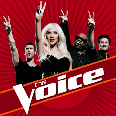 The Voice Season 5 castings